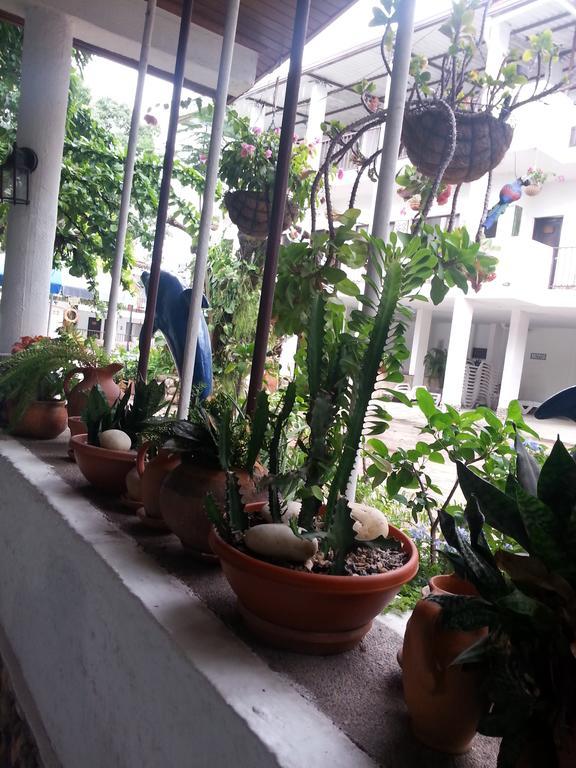 Hotel Villa Maritza Melgar Eksteriør billede
